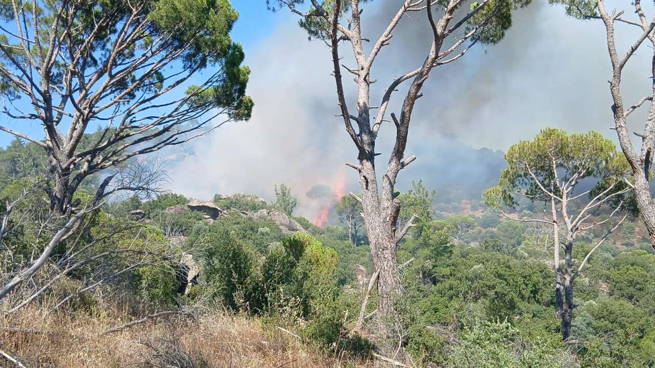 Kavaklıdere’de  Orman Yangını: Havadan ve Karadan Müdahale Sürüyor 4